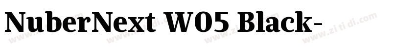 NuberNext W05 Black字体转换
